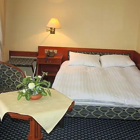 Dum Bedricha Smetany 酒店 4*