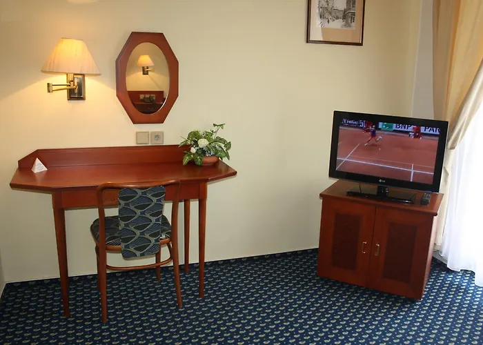 Dum Bedricha Smetany Hotell 4*