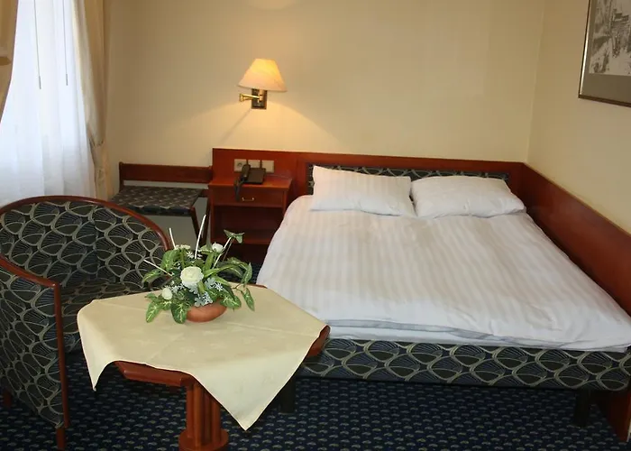 Dum Bedricha Smetany Hotell